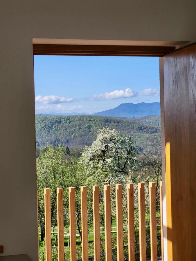 Guest House Domacija Krnc Hrib pri Hinjah エクステリア 写真