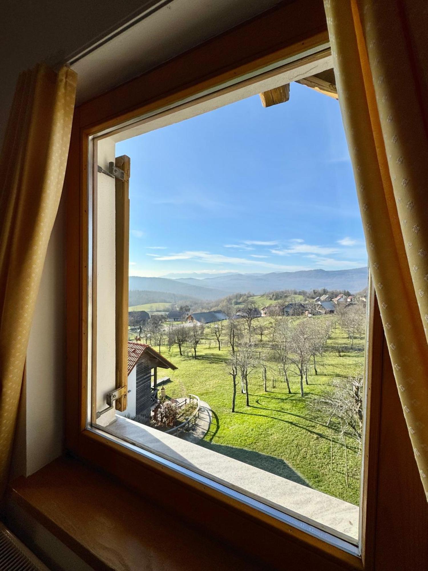 Guest House Domacija Krnc Hrib pri Hinjah エクステリア 写真