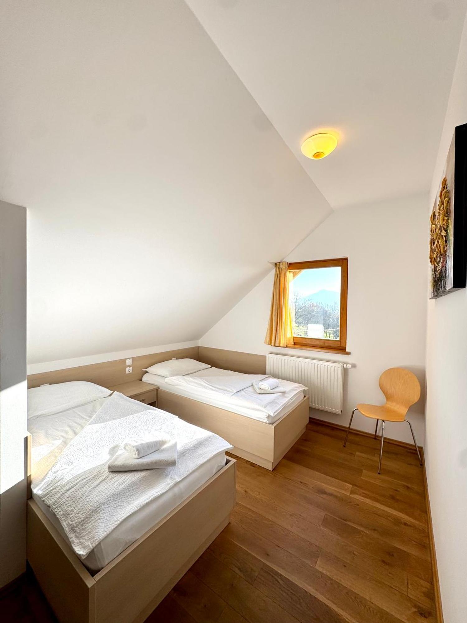 Guest House Domacija Krnc Hrib pri Hinjah エクステリア 写真