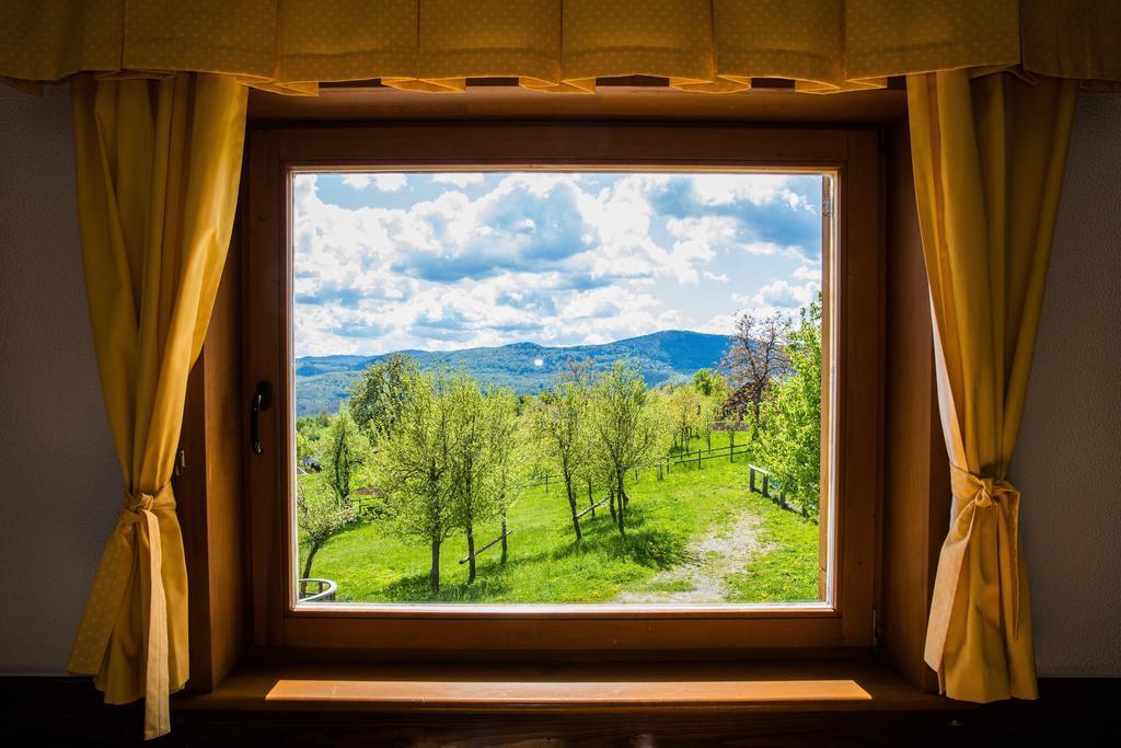 Guest House Domacija Krnc Hrib pri Hinjah エクステリア 写真